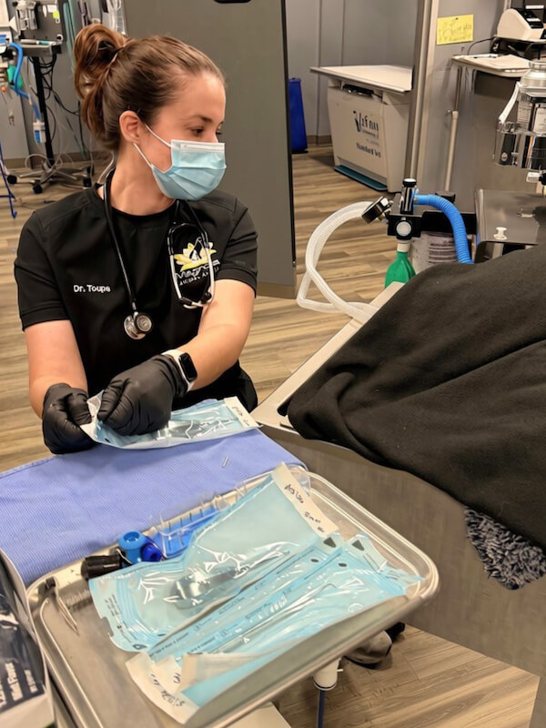 Dr Toups preparing for dentistry
