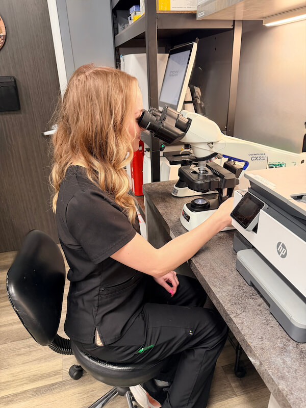staff member examining blood samples under the microscope 