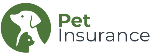 pet insurance