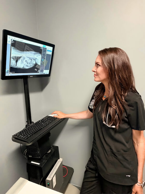 Dr. Helton doing an X-ray diagnosis