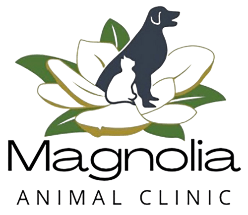 Magnolia Animal Clinic